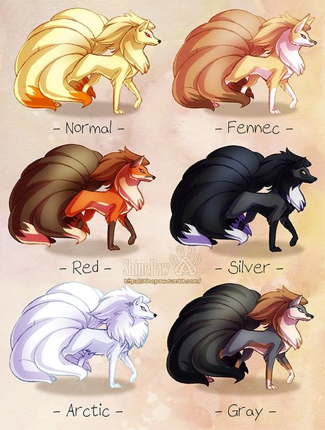 Ninetales variations by ShinePawArt Ninetales Pokemon, Lup Singuratic, Pokemon Breeds, Pokemon Eeveelutions, Mythical Animal, Cute Fantasy Creatures, Cute Pokemon Wallpaper, Creature Drawings, Anime Wolf