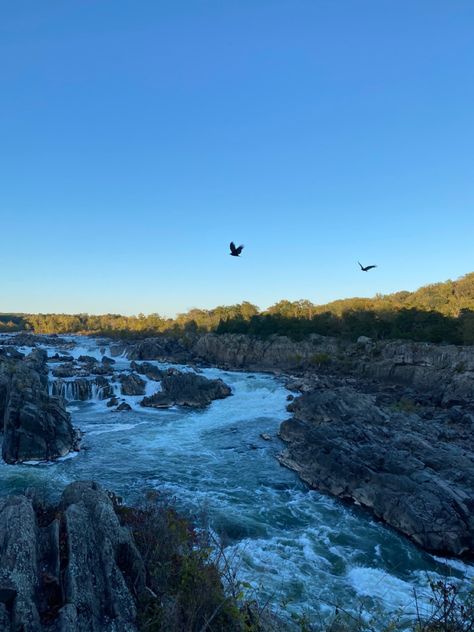 #virginia #greatfalls #waterfalls Great Falls Virginia, Summer 2025, Great Falls, Beautiful Cover, Cover Photos, Virginia, Hiking, Water, Travel