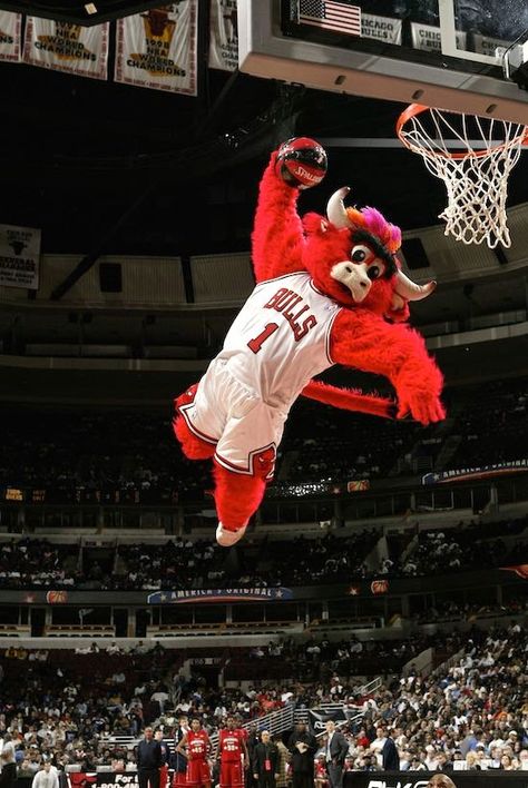 Top NBA Mascots - Art'einsky Chicago Bulls Wallpapers, Chigago Bulls, Benny The Bull, Bulls Wallpaper, Nba Bulls, Michael Jordan Basketball, Nba Mvp, Chicago Sports, Derrick Rose