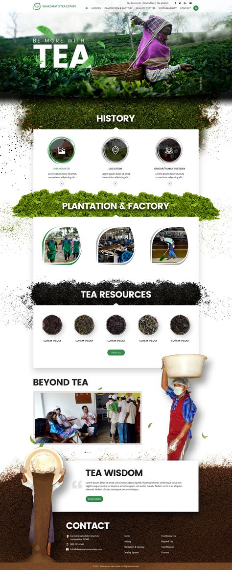 Website design «Tea Processing» #webdesign #tea Tea Website, Graphic Design Posters Layout, Web Design Websites, Tea Logo, Website Design Wordpress, Tea Company, Creative Web Design, Tea Design, Tea Culture