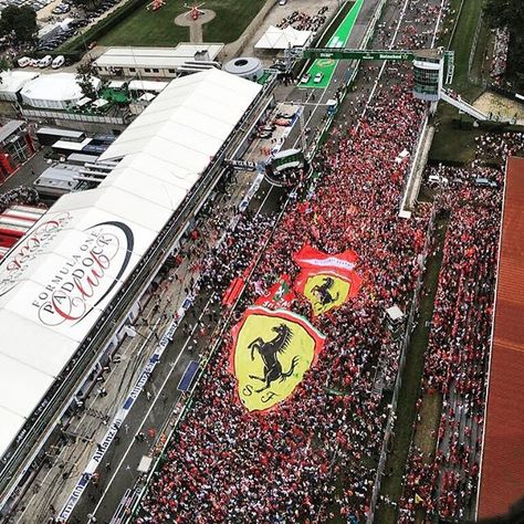 Just wow #ItalianGP #Monza #Tifosi #Fans #F1 #Formula1 Ferrari Fans F1, Monza Grand Prix Formula 1, F1 Fans Aesthetic, Monza F1 Track, Ferrari Aesthetic F1, Tifosi Ferrari, Aubrey Edwards, Ferrari F1 Aesthetic, F1 Widget