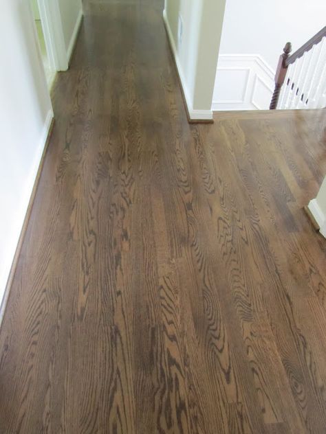 Spice Brown Floor Stain, Oak Floor Stains, Staining Wood Floors, Floor Stain Colors, Wood Floor Stain Colors, Wood Floor Colors, Refinish Wood Floors, Red Oak Floors, Foyer Dining Room