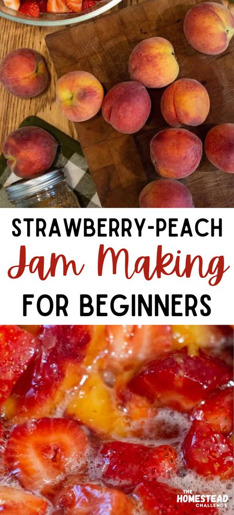 Whip up a batch of our delightful Honey-Sweetened Strawberry Peach Jam! This recipe combines juicy strawberries and lush peaches with the natural sweetness of honey for a healthier take on traditional jams. It’s perfect for spreading on morning toast, dolloping on yogurt, or even as a sweet topping for ice cream. Whether you’re a jam-making veteran or trying it for the first time, our step-by-step guide ensures delicious results. Uses For Peach Jam, Strawberry Peach Jam Recipe, Strawberry Jam Combinations, Strawberry Peach Jam Canning, Peach Scrap Jelly, Canning Peaches For Beginners, Mixed Fruit Jelly Recipe, Peach Jam Recipe Canning, Strawberry Peach Jam