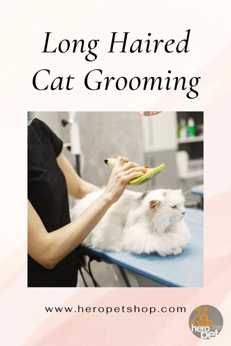 Long Haired Cat Grooming Long Haired Cat, Fluffy Cats, Long Haired Cats, Grooming Tips, Pet Hacks, Fluffy Cat, Cat Grooming, Smoothie Bowl, Hey There