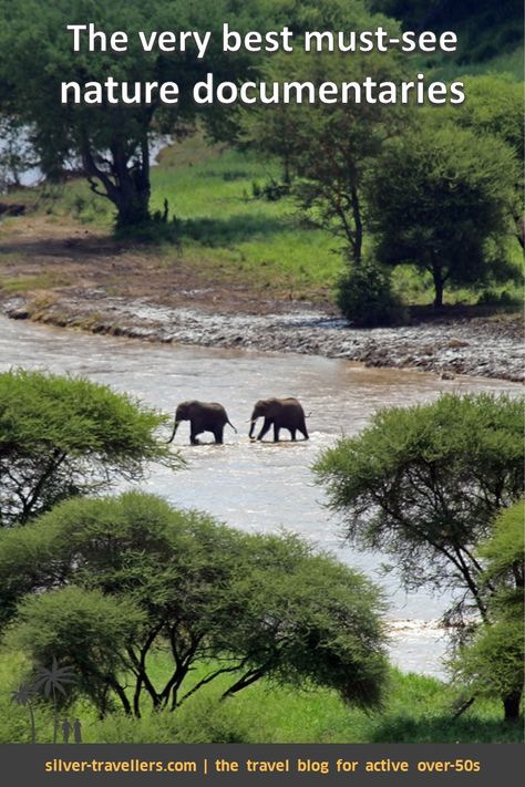 The very best must-see nature documentaries during the corona period. With tips on streaming your favourite series or on ordering the documentary. #nature #documentary #discoverychannel #bbc #silvertravellers #corona #nationalgeographic #africa Nature Documentary, Travel Movies, Best Nature, Discovery Channel, Travel Spots, List Ideas, Beach Picnic, Travel Book, Travel Bucket