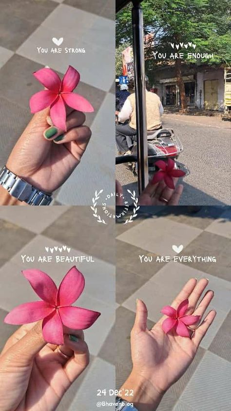 New Post Instagram Story Ideas Flowers, Instagram Story Idea Flower, Flowers Story Instagram Ideas, Flower Instagram Post Ideas, Flower Quotes Instagram Story, Flowers For Instagram Story, Republic Day Instagram Story Ideas, Insta Story Ideas For New Post, Aesthetic Snapchat Story Ideas