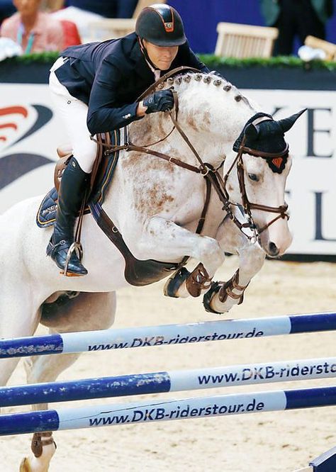 Photo Credit: David Will & Colorit. © by toffiimages.de Equestrian Jumping, Show Jumping Horses, Saddle Rack, Equestrian Problems, Horse Western, Western Saddles, Eventing Horses, Natural Horsemanship, English Horse