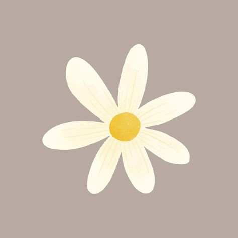 Margaritas Flores Aesthetic, Cute Flower Clipart, Daisy Flower Drawing, White Flower Png, Snapchat Drawing, Daisy Sticker, Daisy Drawing, Daisy Image, Instagram Graphic Design