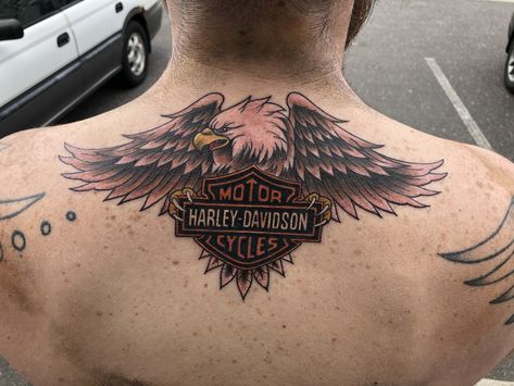 #harleydavidson #eagletattoos #eagle #baldeagle #motorcycle #tattoo I did before this #pandemic Harley Davidson Eagle Tattoo, Harley Davidson Tattoo, Eagle Back Tattoo, Harley Tattoos, Motorcycle Tattoo, Harley Davidson Eagle, Harley Davidson Tattoos, Eagle Tattoos, Eagle Tattoo