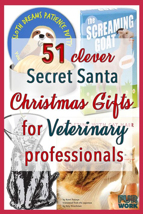 51 clever christmas veterinarian & veterinary technician gifts on Amazon.com  Creative ideas for secret santa/ white elephant gift exchange /stocking stuffer Christmas presents for veterinarians, vet techs and veterinary support staff in 2018. #veterinary #vetmed #veterinarian #vettech #veterinarytechnician #vetnurse #veterinarynurse #gifts #giftideas #presents #amazon #secretsanta #whiteelephant #stockingstuffer Veterinary Technician Gifts, Fancy Stationery, Veterinary Tech, Secret Santa Christmas Gifts, White Elephant Gift Exchange, Easy Homemade Christmas Gifts, Vet Office, Horse Care Tips, Vet Tech Gifts