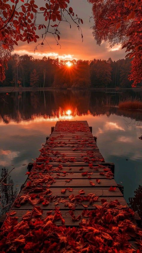 Sun Setting, Fall Background, Breathtaking Places, Autumn Scenes, Autumn Scenery, Wallpapers Iphone, Fall Pictures, Beautiful Nature Wallpaper, Autumn Landscape