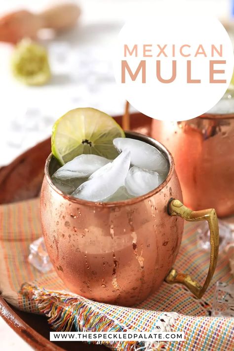 Smooth and balanced, the Mexican Mule is a tasty tequila cocktail. Made with three simple ingredients, this recipe is a twist on a classic Moscow Mule. #easyentertaining #cincodemayo #speckledpalate Mexican Mule Recipe, Mexican Mule, Blue Recipes, Liquid Luck, Moscow Mules, Moscow Mule Recipe, Mule Cocktail, Tequila Cocktail, Mule Recipe