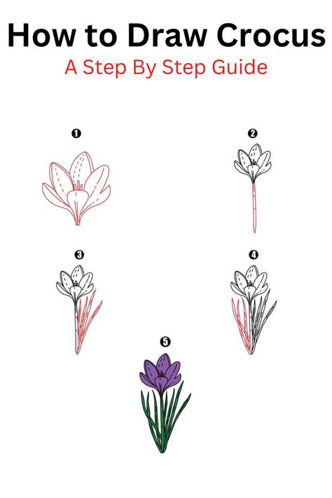 How to Draw Crocus Crocus Drawing, Cool Drawing, Crocus Flower, Step Drawing, Flower Doodles, African Violets, Drawing Lessons, Art Challenge, Step By Step Drawing