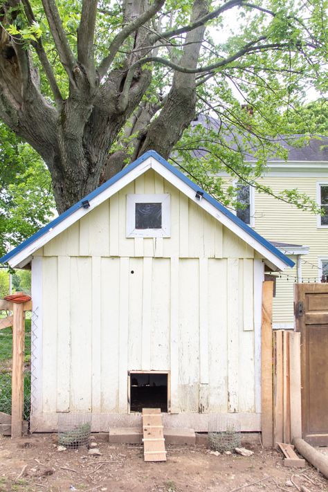 Shed To Chicken Coop Convert, Metal Shed Chicken Coop Conversion, Chicken Coop With Nesting Boxes, Chicken Coop On A Budget, 8x8 Shed, Converted Shed, Chicken Shed, Chicken Coup, Coop Ideas