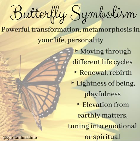 Monarch Butterfly Meaning, Butterfly Spirit Animal, Animal Totem Spirit Guides, People Change Quotes, Butterfly Symbolism, Butterfly Meaning, Small Wave Tattoo, Spirit Animal Meaning, Animal Meanings