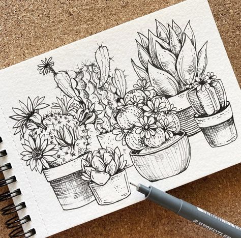 Succulent Drawing Sketches, Drawing Cactus, Micron Pen Art, Drawing Plants, Succulents Drawing, Watercolour Sketchbook, Black Ink Art, Fineliner Art, Ink Pen Art