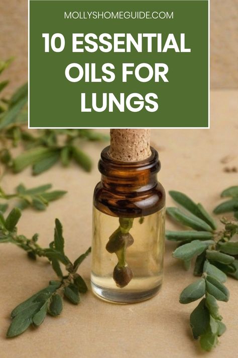 Discover the power of essential oils for lungs with these best essential oils known for their healing properties. From congestion to inflammation, these natural remedies can help support your respiratory system and aid in lung detox. Whether you're looking to combat infection or promote lung healing, incorporating herbs for bronchitis or essential oils for respiratory health can provide relief. Harness the therapeutic benefits and healing power of aromatherapy with these versatile essential oils Essential Oil For Respiratory, Lung Congestion Remedies, Bronchitis Essential Oils, Essential Oils For Respiratory Support, Lung Healing, Essential Oil For Bronchitis, Air Freshener Diy Essential Oils, Essential Oils For Inflammation, Essential Oils For Congestion