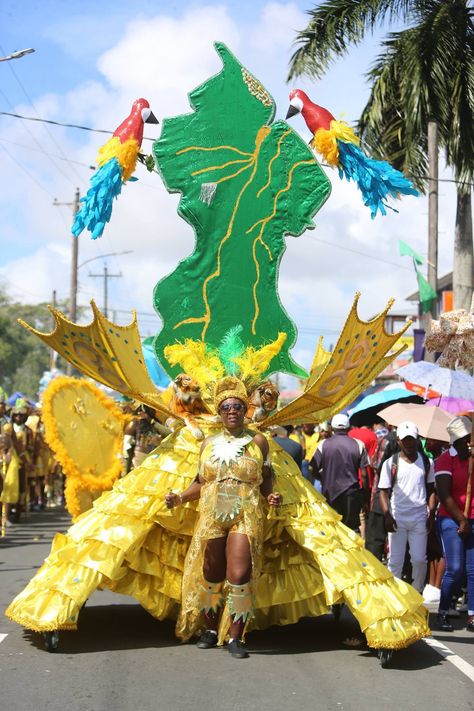 Guyana Aesthetic, Caribbean Gyal, Guyanese Culture Aesthetic, Guyana Beach, Guyanese Culture, Guyana Georgetown, Culture Appreciation, Guyana Amazon Warriors, Kaieteur Falls