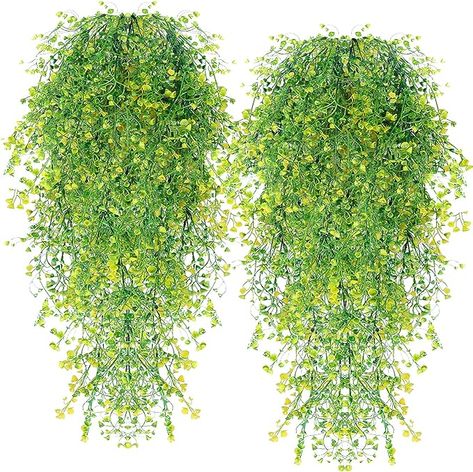 Amazon.com: RECUTMS Artificial Plants Fake Hanging Plants for Outside Ivy Plant for Outdoor UV Resistant for Wall Indoor Hanging Baskets Wedding Garland Decor 4 Pack(Yellow 4P) : Home & Kitchen Garland Room Decor, Garden Wedding Party, Wall Plants, Fake Hanging Plants, Home Garden Wedding, Garland Wedding Decor, Artificial Hanging Plants, Hanging Plant Wall, Artificial Plants Outdoor