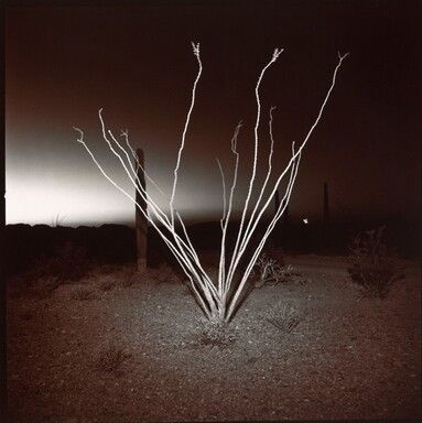 Collection Search Results Richard Misrach, Palm Springs Art, 29 Palms, Gelatin Silver Print, National Gallery Of Art, American West, Ancient Cultures, Landscape Photographers, Solar Energy