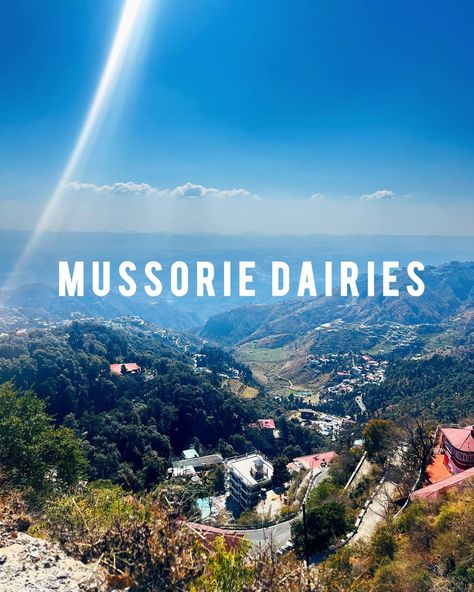 Day 1-2 Mussorie Dairies #mussoorie #mussoriediaries #mussoriehills #hotelshivacontinental #uttarakhand #kemptyfalls #mallroad Day 1, Mussoorie, Shiva, Hotel, My Saves, Road, Quick Saves, Instagram