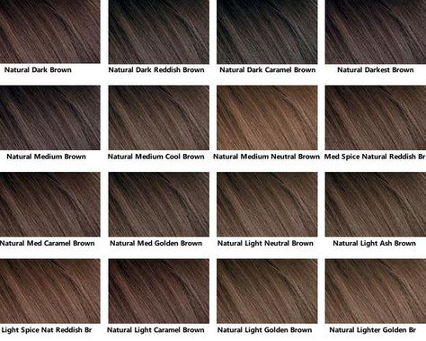 Cool Brown Hair Color Chart - Infoupdate.org Grey Hair Colour Chart, Neutral Brown Hair, Light Ash Brown Hair Color, Shades Of Brown Hair, Light Ash Brown Hair, Brown Hair Color Chart, Cool Brown Hair, Coffee Brown Hair, Ash Brown Hair Color