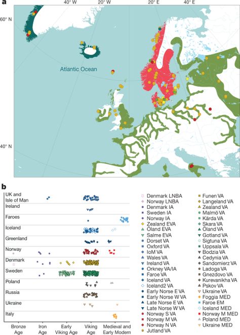 Ancient DNA analyses reveal that Viking Age migrations from Scandinavia resulted in differential influxes of ancestry to different parts of Europe, and the increased presence of non-local ancestry within Scandinavia. Viking Ancestry, Dna Analysis, Uppsala University, Dna Genetics, Next Generation Sequencing, Vikings History, Genealogy Ideas, Novo Nordisk, Google Scholar