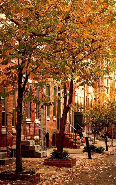 Autumn In New York, Washington Square, Autumn Scenes, Autumn Scenery, Philadelphia Pennsylvania, Autumn Beauty, Facebook Covers, Graphic Design Software, Fall Pictures