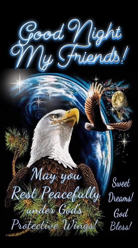 Good Night America, Night America, Good Night Family, Good Night My Friend, Native American Prayers, Good Night Beautiful, Eagle Images, Native American Pictures, Good Night Blessings