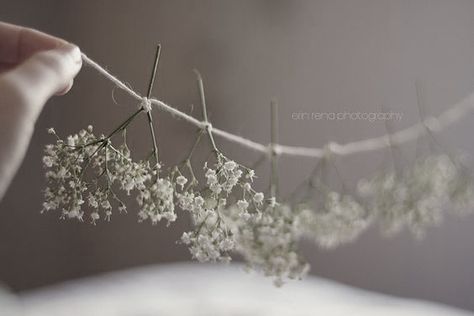 Diy Slinger, Gypsophila Wedding, Fleurs Diy, Work Diy, Baby S Breath, Sweet Love, Flower Decor, Nature Crafts, Wedding Deco