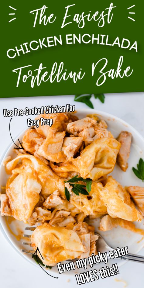 Chicken Enchilada Tortellini Bake Recipe - MenuPlans.com Making Menu Planning Easy! Chicken Enchilada Tortellini, Chicken Enchilada Tortellini Bake, Enchilada Tortellini, Crockpot Chicken Enchiladas, Tortellini Bake, Frozen Pasta, Chicken Parmesan Casserole, Chicken Tortellini, Chicken Enchiladas Easy