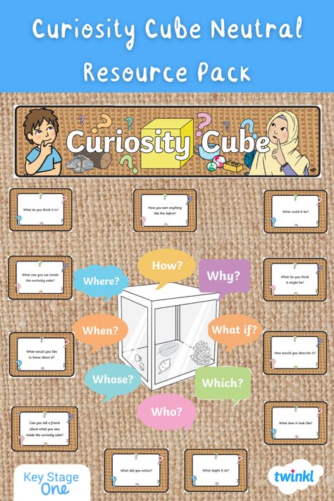 Curiosity Corner Classroom, Curiosity Cube Eyfs Ideas, Sunflower Activities, Investigation Station, Thomas Bewick, Ib Pyp Classroom, Investigation Area, Year 1 Classroom, Curiosity Box