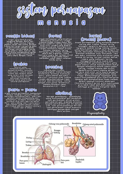 sistem pernapasan manusia digital notes studygram study indonesia School Study Ideas, Computer Gaming Room, Biology Facts, Powerpoint Free, Book Editing, Human Body Parts, Biology Notes, Medical Studies, Nursing Study