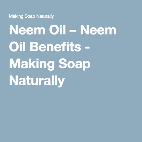 Neem Oil – Neem Oil Benefits - Making Soap Naturally Oil Benefits, Neem Oil, Oil Plant, Soap Making, Natural Skin Care, Soap, Skin Care, Skin