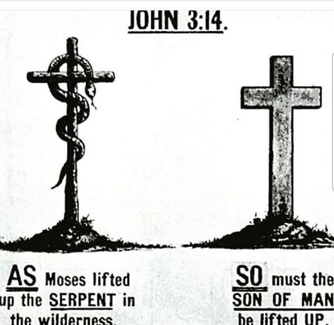 John 3:14 (KJV)~ “14 And as Moses lifted up the serpent in the wilderness, even so must the Son of man be lifted up:” Moses And The Bronze Serpent, Bronze Serpent, Logo Elements, Son Of Man, The Serpent, The Son Of Man, John 3, Man Up, The Wilderness