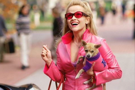 Legally Blonde 3 bends and snaps into 2022 Legally Blonde Outfits, Back To School Movie, Legally Blonde 3, Woods Outfit, Blonde Movie, Iconic Halloween Costumes, Hot Pink Skirt, Classic Halloween Costumes, Black Halloween Dress