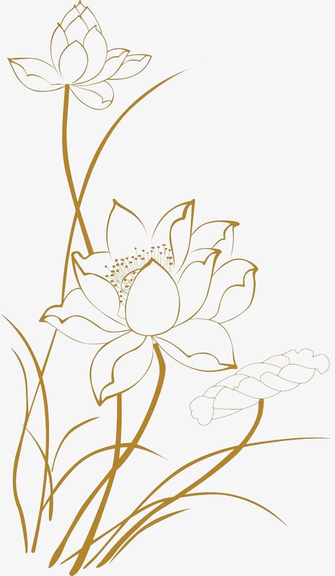 lotus clipart,line clipart,lotus,golden lotus,mid-autumn festival,advertising design,golden,mid-autumn,festival,advertising,design,drawings clipart Flower Line Drawing Pattern, Floral Line Art Pattern, Lotus Painting On Wall, Buhhda Art, Lotus Flower Line Drawing, Lotus Line Drawing, White Lotus Painting, Lotus Flower Line Art, Lotus Line Art