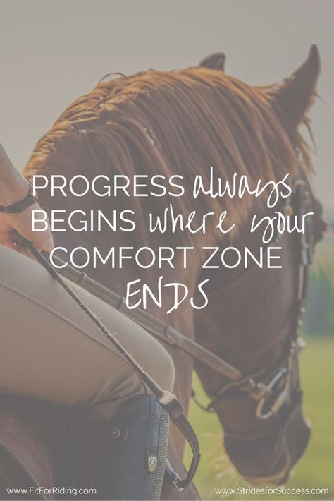 Equine Quotes, Pig Care, Inspirational Horse Quotes, Horse Riding Quotes, Equestrian Quotes, Leopard Geckos, Riding Quotes, Cowgirl Quotes, Horse Inspiration