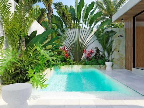 Casa Petak 1BDR - Balitecture Pool Tropical Landscaping, Poolside Landscape Ideas, Backyards Ideas, Tropical Pool Landscaping, Home Backyard, Tropical Garden Design, Tropical Backyard, Pool Landscape Design, Gardening Landscaping