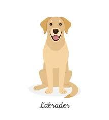 Dog Sitting Illustrations, Royalty-Free Vector Graphics & Clip Art - iStock Golden Retriever Yellow, Staffordshire Bull Terrier Puppies, Puppies Golden Retriever, Farm Images, Bull Terrier Puppy, Cake Writing, Puppy Sitting, Black Puppy, Akita Dog