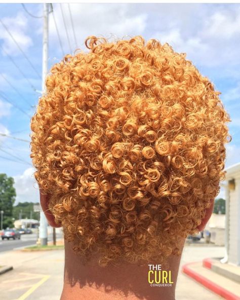 Low Cut Hairstyles, Voice Of Hair, Short Dyed Hair, Blonde Natural Hair, Short Natural Curly Hair, Color Rubio, Natural Hair Cuts, Honey Brown Hair, Natural Hair Short Cuts