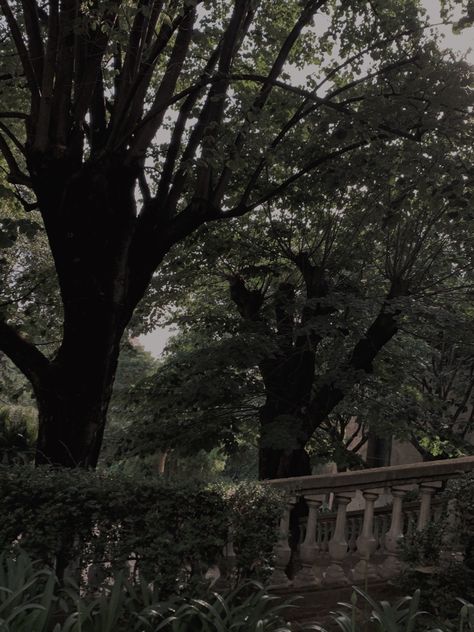 Grunge Garden Aesthetic, Mysterious Garden Aesthetic, Gloomy Garden Aesthetic, Victorian Garden Aesthetic Dark, Dark Academia Courtyard, Dark Academia Garden Aesthetic, Garden Gothic Aesthetic, Haunted Garden Aesthetic, Dark Academia Aesthetic Landscape