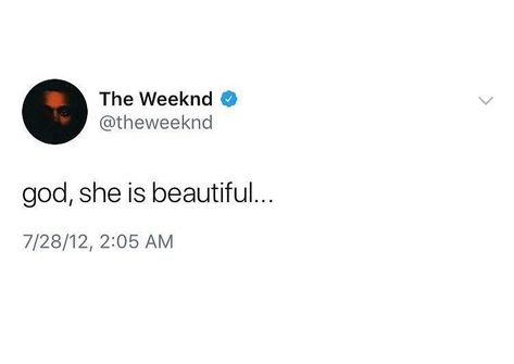 The Weeknd Twitter Header, Funny Celebrity Tweets, Weeknd Quotes, Hastag Instagram, Weeknd Lyrics, The Weeknd Quotes, Instagram Captions Clever, Cute Animal Memes, Pop Lyrics