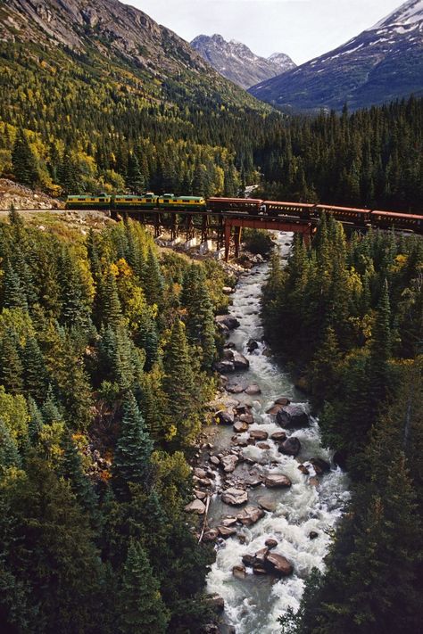 Alaska Train, Beautiful Places In America, Woods Cabin, Views Of Nature, Skagway Alaska, Model Train Table, Nature And Human, Bright Night, Model Train Accessories