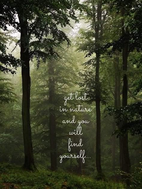 Nature Quotes Beautiful, Forest Quotes, Sunrise Quotes, Edward Abbey, Deep In The Forest, Earth Quotes, Nature Quotes Adventure, Stone Sphere, Inspire Quotes