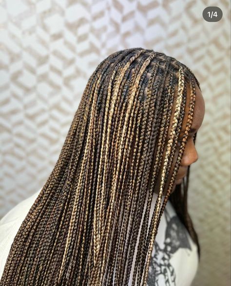 Black And Blonde Box Braids Mixed, Extra Small Braids, Beautiful Black Hair, Box Braids Hairstyles For Black Women, Braided Cornrow Hairstyles, Cute Box Braids Hairstyles, Protective Hairstyles Braids, Box Braids Styling, Pretty Braided Hairstyles