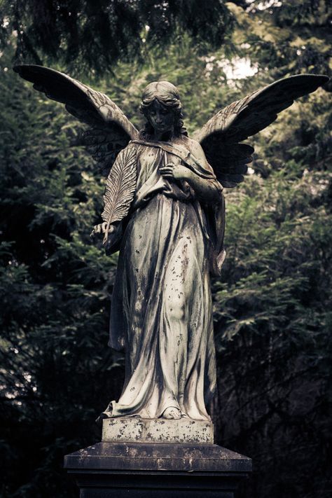 Romantic Goth Aesthetic, Cemetery Angels, Cemetery Monuments, Creepy Backgrounds, Angel Sculpture, Old Cemeteries, Angel Statues, Goth Aesthetic, Gothic Architecture