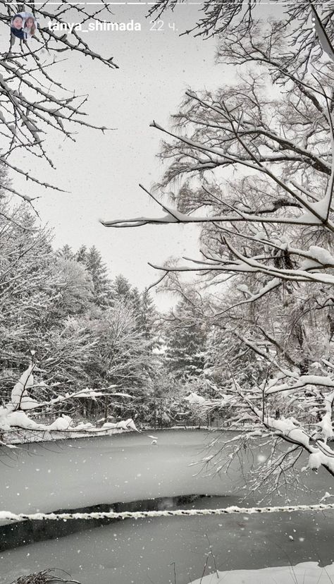 Frozen Pond Aesthetic, Setting Aesthetic, Pond Aesthetic, Frozen Pond, Winter Aesthetic, Winter Time, Art Class, Frozen, Photography