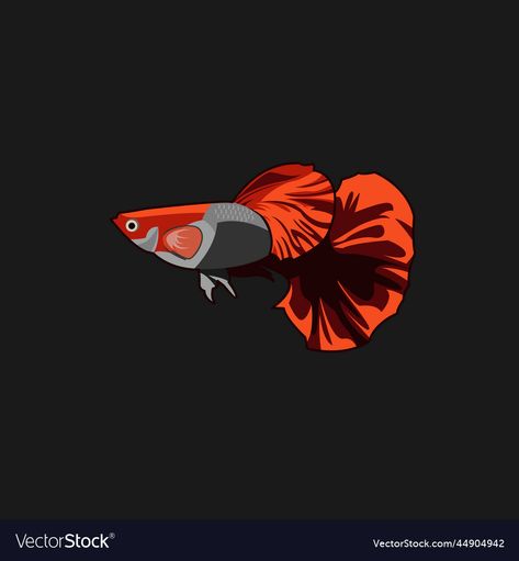 Guppy Fish Drawing, Guppies Fish, Diamond Tattoo Designs, Collage Fodder, Diamond Tattoo, Guppy Fish, Anime Lock Screen Wallpapers, Anime Lock Screen, Fish Vector