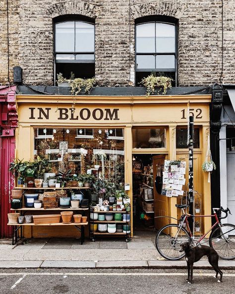 Columbia Road Flower Market, Hackney London, Columbia Road, Bethnal Green, Hotel Apartment, Shop Fronts, Cozy Cafe, London Apartment, Shop Front